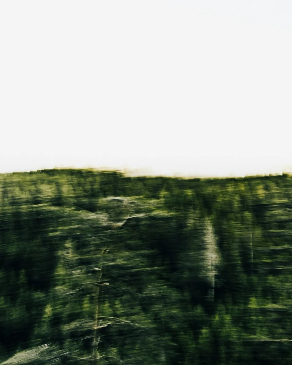 Beweging en wellness